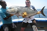 Toine GT,  62 lbs
