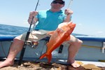 Ruby snapper? for Vincent