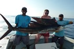 Big sail