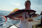 Red snapper on speedjig