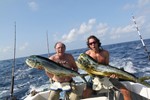 Double hook up on Dolphins