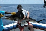 First marlin for Jacco