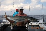Kingfish took care of the marlin bait