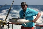 live bait...
