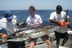 marlin 2 richard