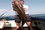 amberjack jigging
