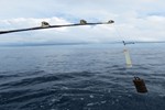 daytime broadbill fishing