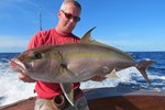 amberjack