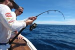PENN Jigging rod to the limit