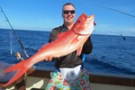 Snapper 2