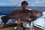 grouper klaas