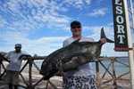 giant trevally