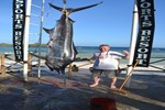 Fred caught this one while figting of the shark. Too bad....(204 kg remaining)