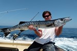 Good size barracuda